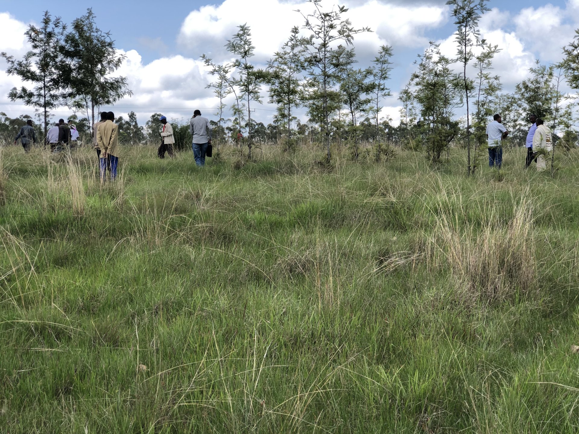 /media/calm-watershed-dara-woreda-sidama.jpg-3.jpg