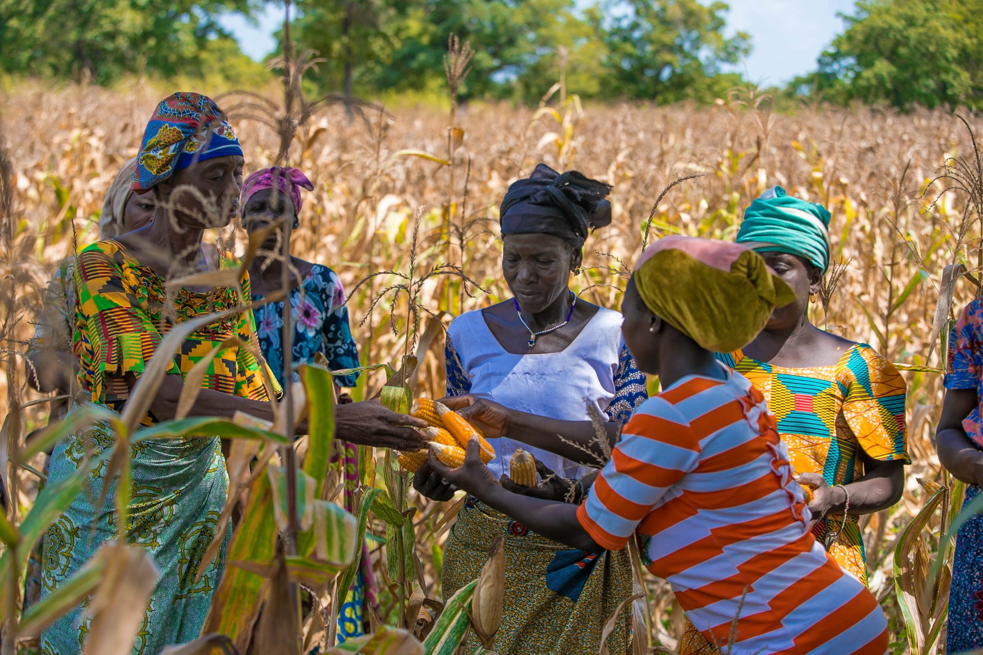/media/soco-ghana-manyateng-suotaanykado-women-farmers-group.jpg